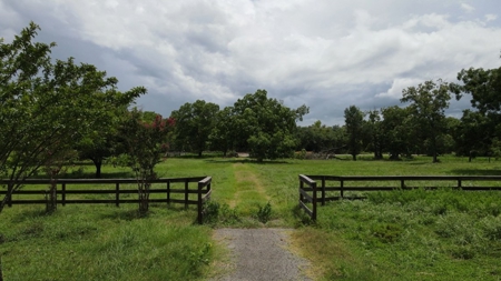 Farmhouse for sale in La Grange Texas on 26.88 Acres - image 14