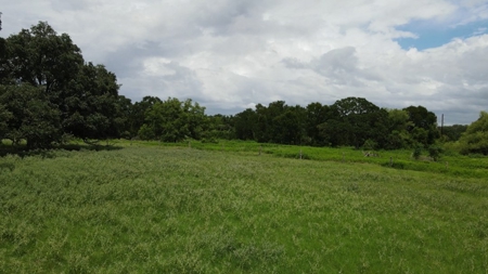 Farmhouse for sale in La Grange Texas on 26.88 Acres - image 19