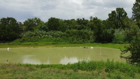 Farmhouse for sale in La Grange Texas on 26.88 Acres - image 18