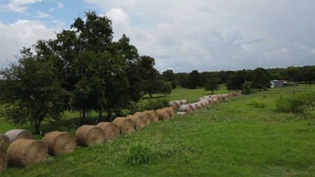 Farmhouse for sale in La Grange Texas on 26.88 Acres - image 9