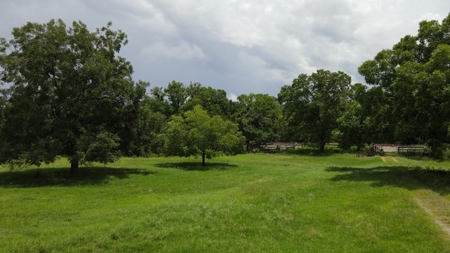 Farmhouse for sale in La Grange Texas on 26.88 Acres - image 5