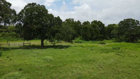 Farmhouse for sale in La Grange Texas on 26.88 Acres - image 15