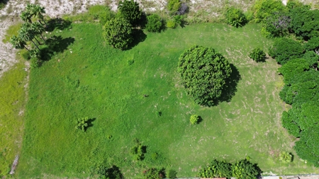 Prime  1,505m²  Investment Land close to beach, Punta Chame - image 4
