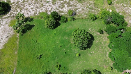 Prime  1,505m²  Investment Land close to beach, Punta Chame - image 3