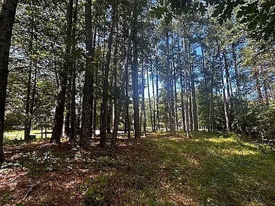 Land perfect for your home in beautiful Albemarle Plantation - image 6