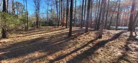 Land perfect for your home in beautiful Albemarle Plantation - image 8