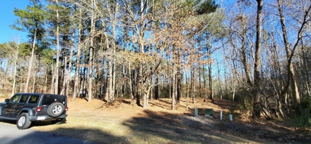 Land perfect for your home in beautiful Albemarle Plantation - image 11