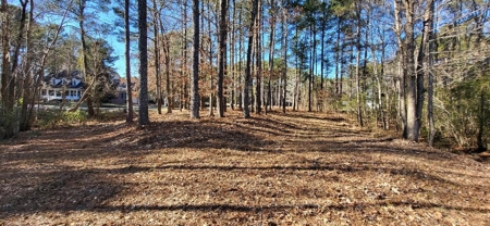 Land perfect for your home in beautiful Albemarle Plantation - image 9