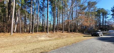Land perfect for your home in beautiful Albemarle Plantation - image 7