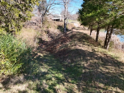 Online Only Auction 4 bedroom home in Tompkinsville - image 46