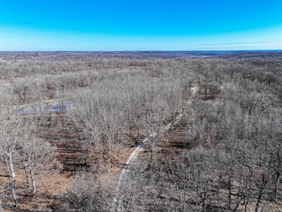 Land for Sale St. Clair County - image 8