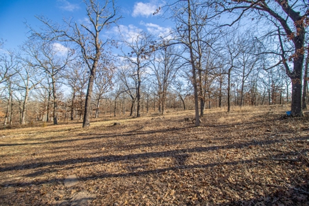 Land for Sale St. Clair County - image 43
