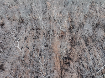 Land for Sale St. Clair County - image 14