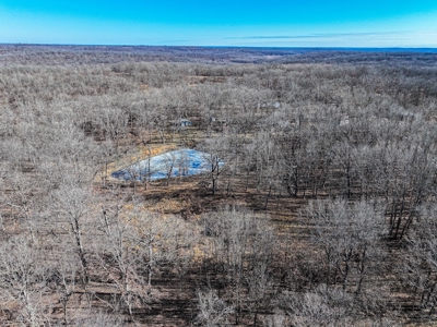 Land for Sale St. Clair County - image 15