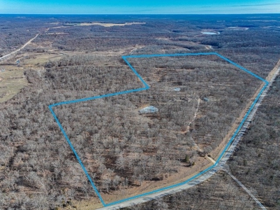 Land for Sale St. Clair County - image 50