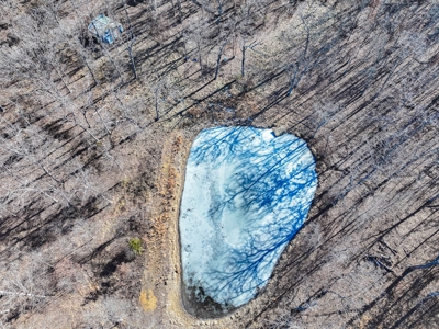 Land for Sale St. Clair County - image 5