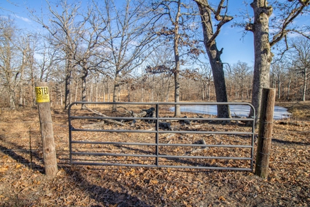 Land for Sale St. Clair County - image 45