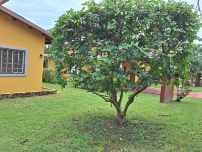 3-Bedroom Home in Villas Campestres del Sol, Chame - image 35