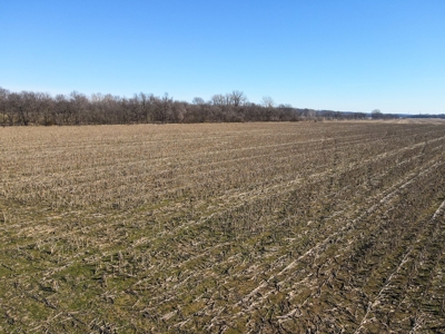 Land For Sale Sarcoxie MO - image 4