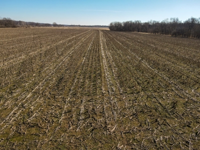 Land For Sale Sarcoxie MO - image 3