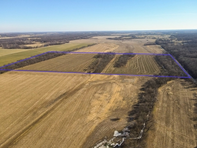 Land For Sale Sarcoxie MO - image 25