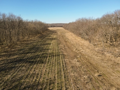 Land For Sale Sarcoxie MO - image 9