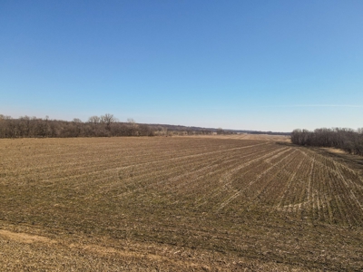 Land For Sale Sarcoxie MO - image 2