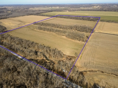 Land For Sale Sarcoxie MO - image 24