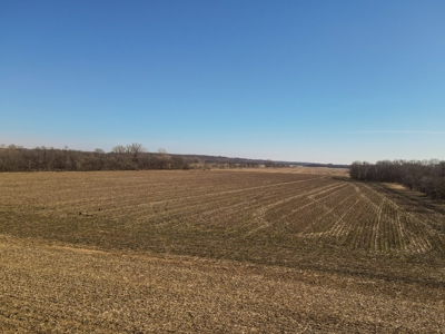 Land For Sale Sarcoxie MO - image 1