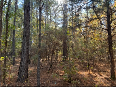 3.88± Corner of Texas Hwy 43 and CR 4122 - image 2