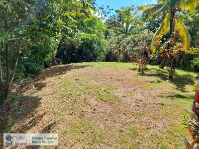 FIRE SALE! Titled Home on Hilltop of Solarte, Bocas del Toro - image 12