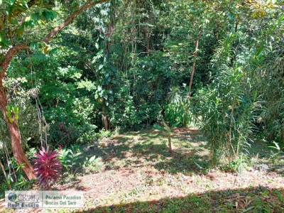 FIRE SALE! Titled Home on Hilltop of Solarte, Bocas del Toro - image 17