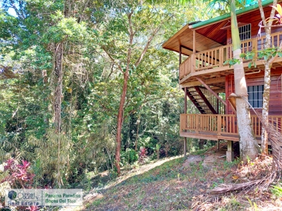 FIRE SALE! Titled Home on Hilltop of Solarte, Bocas del Toro - image 19