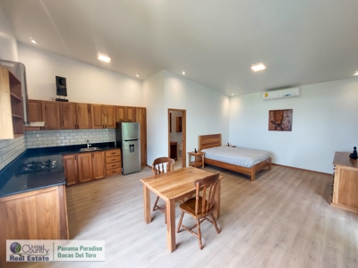 Large Family Compound / Upscale Vacation Rental, BDT, Panama - image 37
