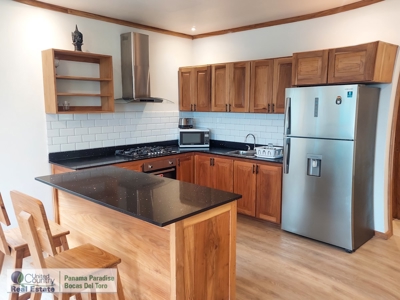 Large Family Compound / Upscale Vacation Rental, BDT, Panama - image 12