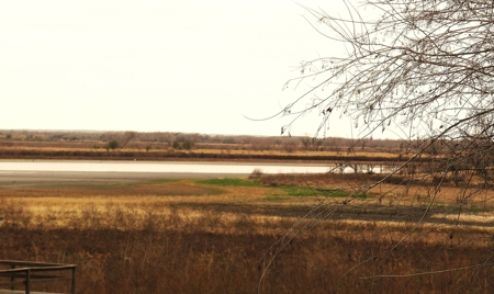 Exceptional Lake Front Home on Lake Corpus Christi - image 10
