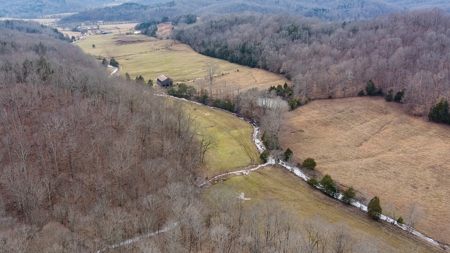 Country Home and Farm Land in Burkesville, Kentucky - image 31