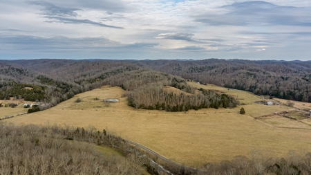 Country Home and Farm Land in Burkesville, Kentucky - image 26