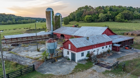 Country Home and Farm Land in Burkesville, Kentucky - image 20