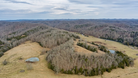 Country Home and Farm Land in Burkesville, Kentucky - image 27