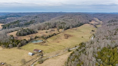 Country Home and Farm Land in Burkesville, Kentucky - image 28