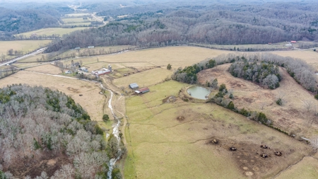 Country Home and Farm Land in Burkesville, Kentucky - image 32