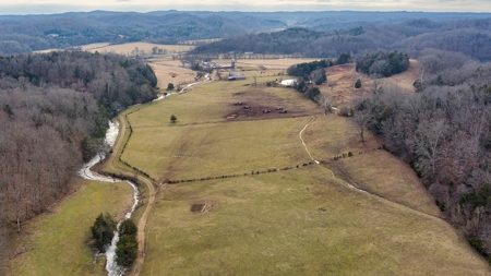 Country Home and Farm Land in Burkesville, Kentucky - image 29