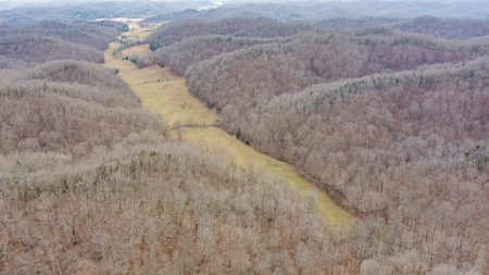 Country Home and Farm Land in Burkesville, Kentucky - image 33