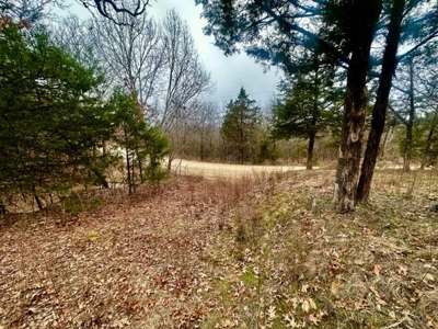 Land for Sale Sardis Lake Views Clayton, OK- Building Tract - image 4