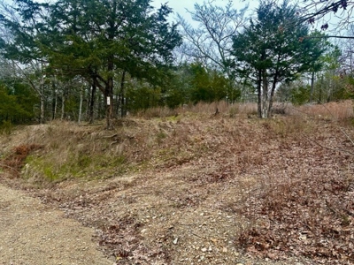 Land for Sale Sardis Lake Views Clayton, OK- Building Tract - image 2