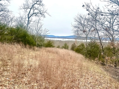 Land for Sale Sardis Lake Views Clayton, OK- Building Tract - image 9
