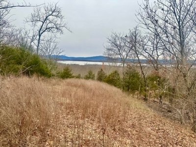 Land for Sale Sardis Lake Views Clayton, OK- Building Tract - image 10