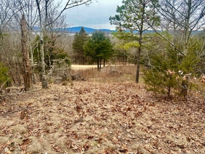 Land for Sale Sardis Lake Views Clayton, OK- Building Tract - image 6