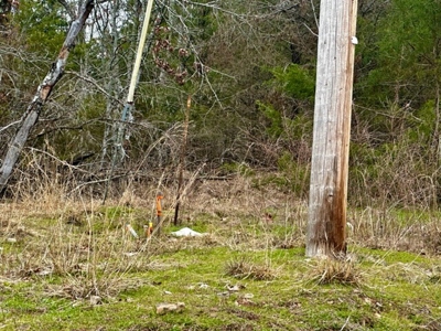 Land for Sale Sardis Lake Views Clayton, OK- Building Tract - image 3